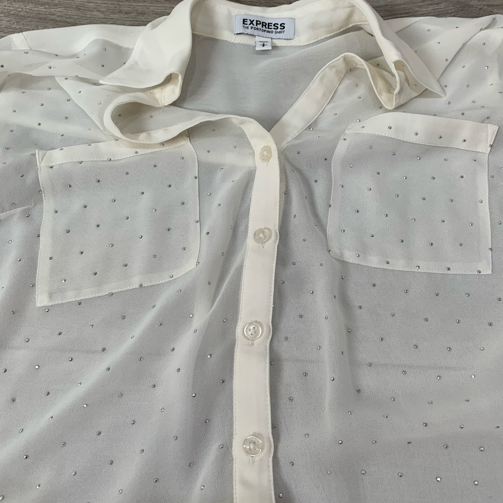 Express Portofino Sheer Blouse